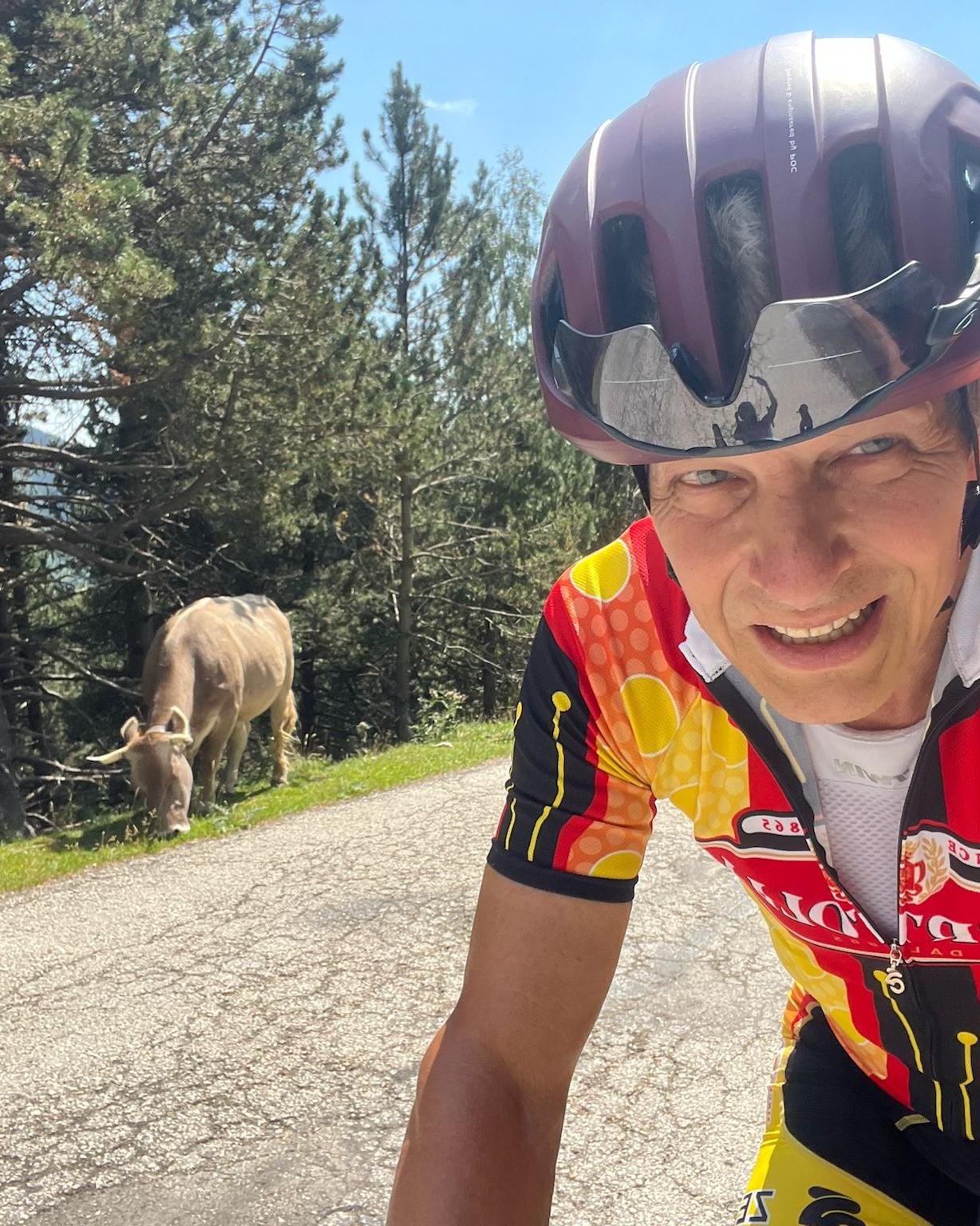 Jay Miller rides through the scenic Catalan mountains while a cow grazes by the roadside, capturing the peaceful and rustic beauty of Girona’s cycling routes.